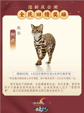 奥运天龙八部私服